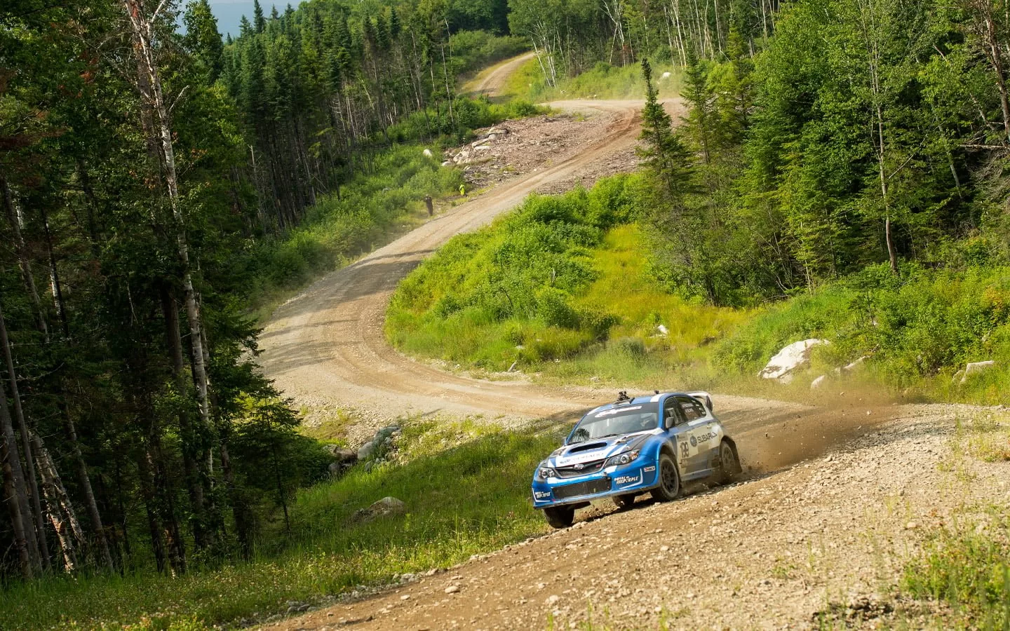 The New England Forest Rally: A Thrilling Adventure插图2