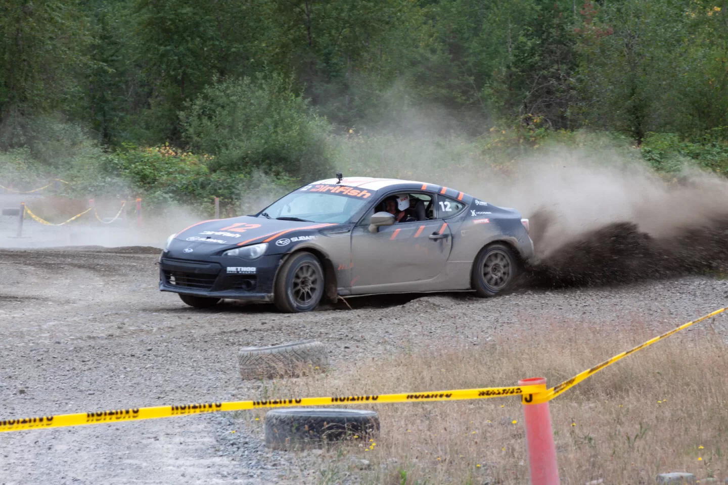 Dirt fish: Unleashing the Power of Rally Driving插图3