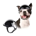 dog motorcycle helmet