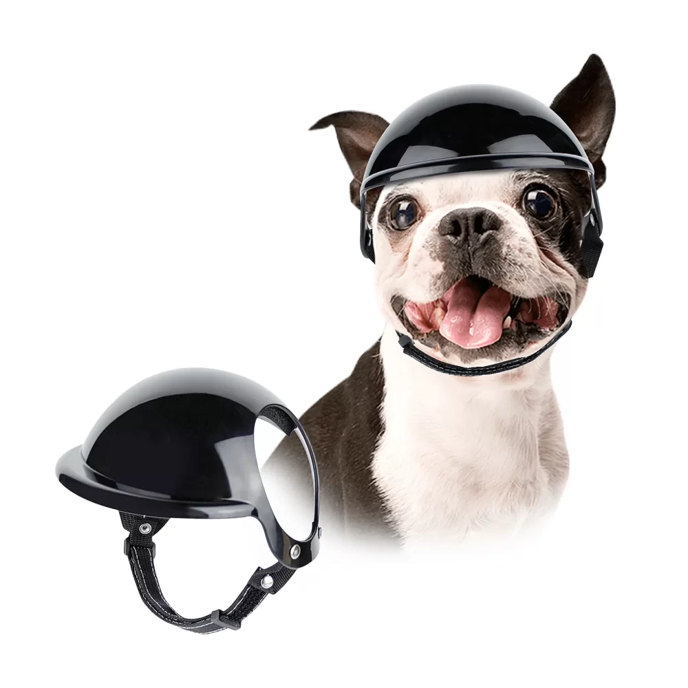 dog motorcycle helmet