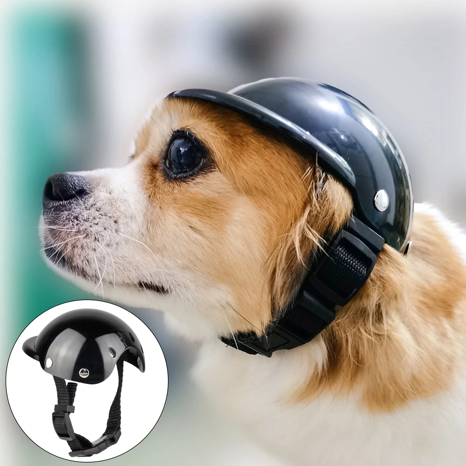 dog motorcycle helmet