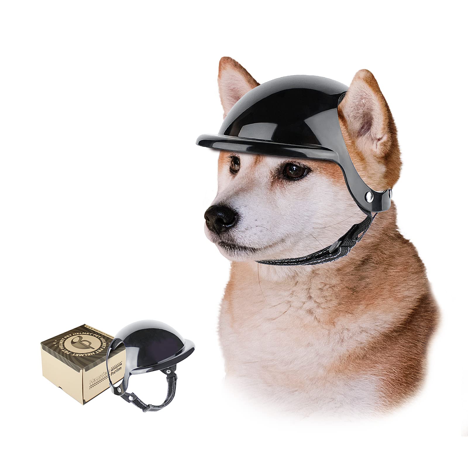 dog motorcycle helmet