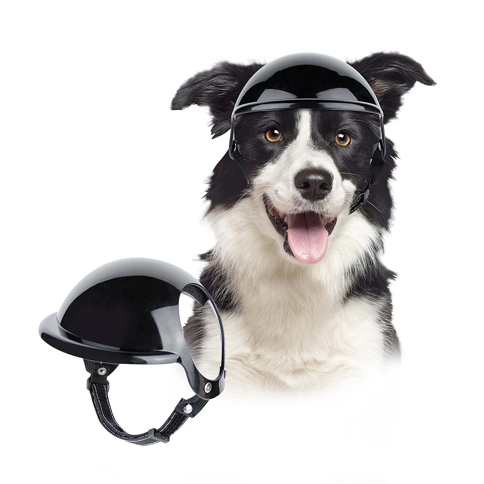 dog motorcycle helmet