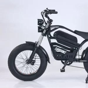 electric motorcycle for adults