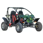go kart with motorcycle engine