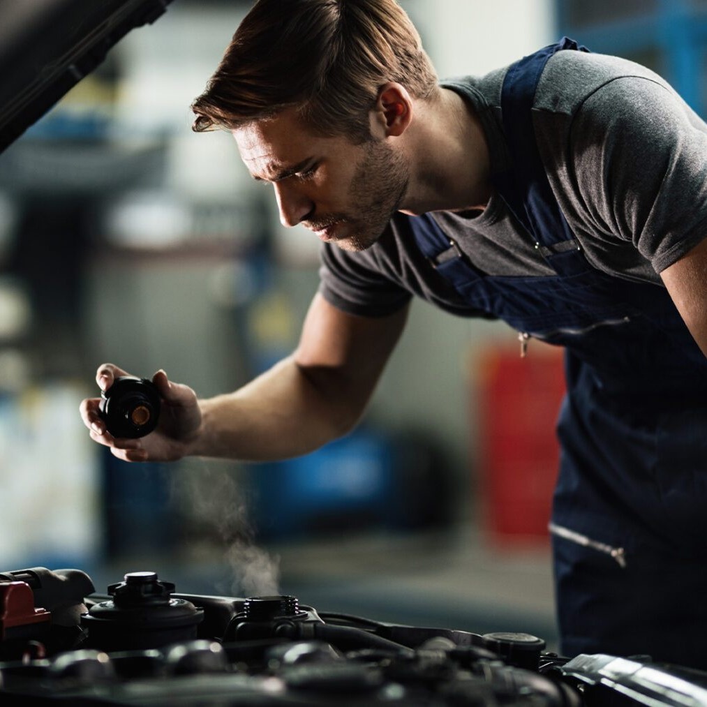 fuel system cleaning service