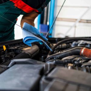fuel system cleaning service