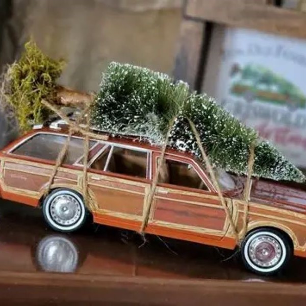 christmas tree on top of car