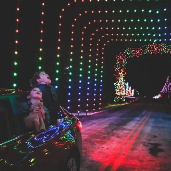 christmas light for car