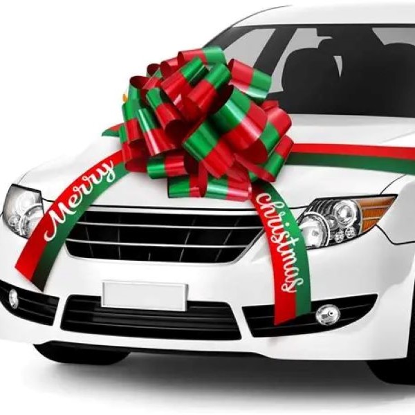 christmas decorations for car