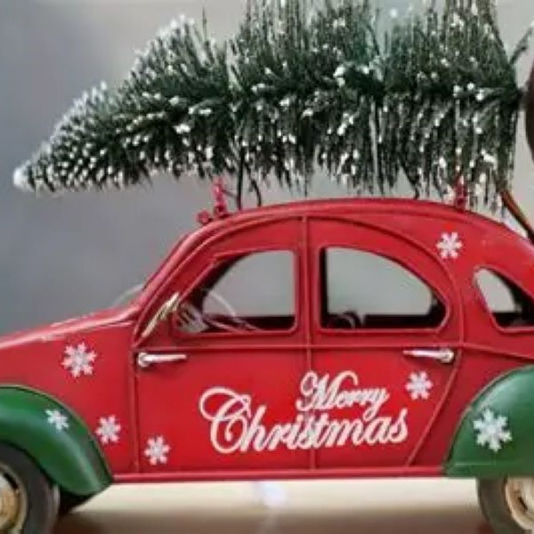 christmas tree on top of car