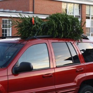 christmas tree on car