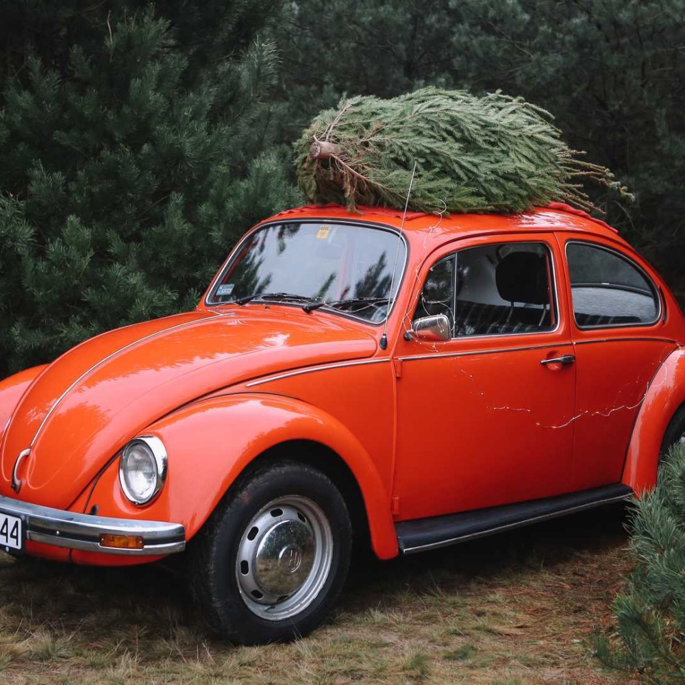 christmas tree on top of car