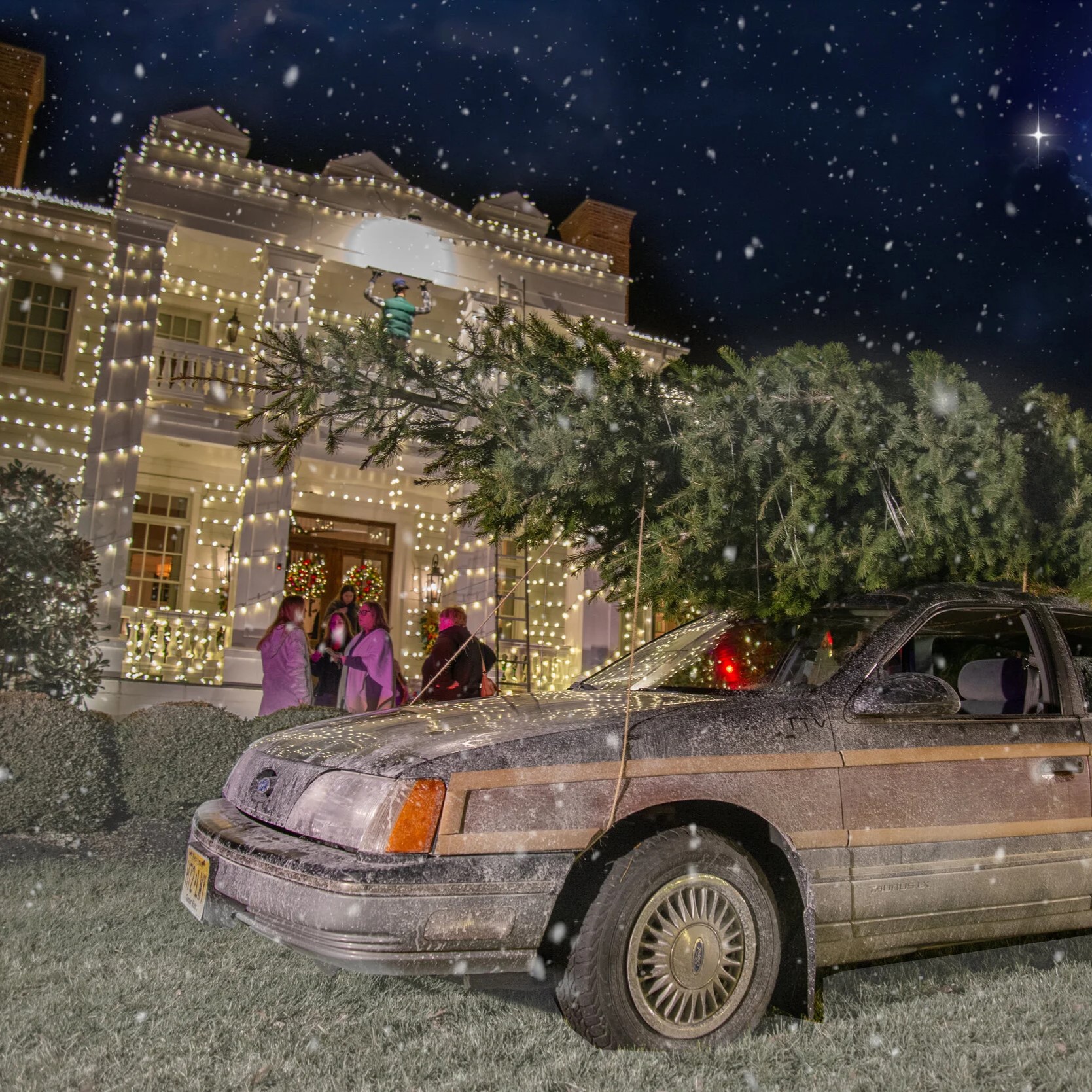 christmas tree on car