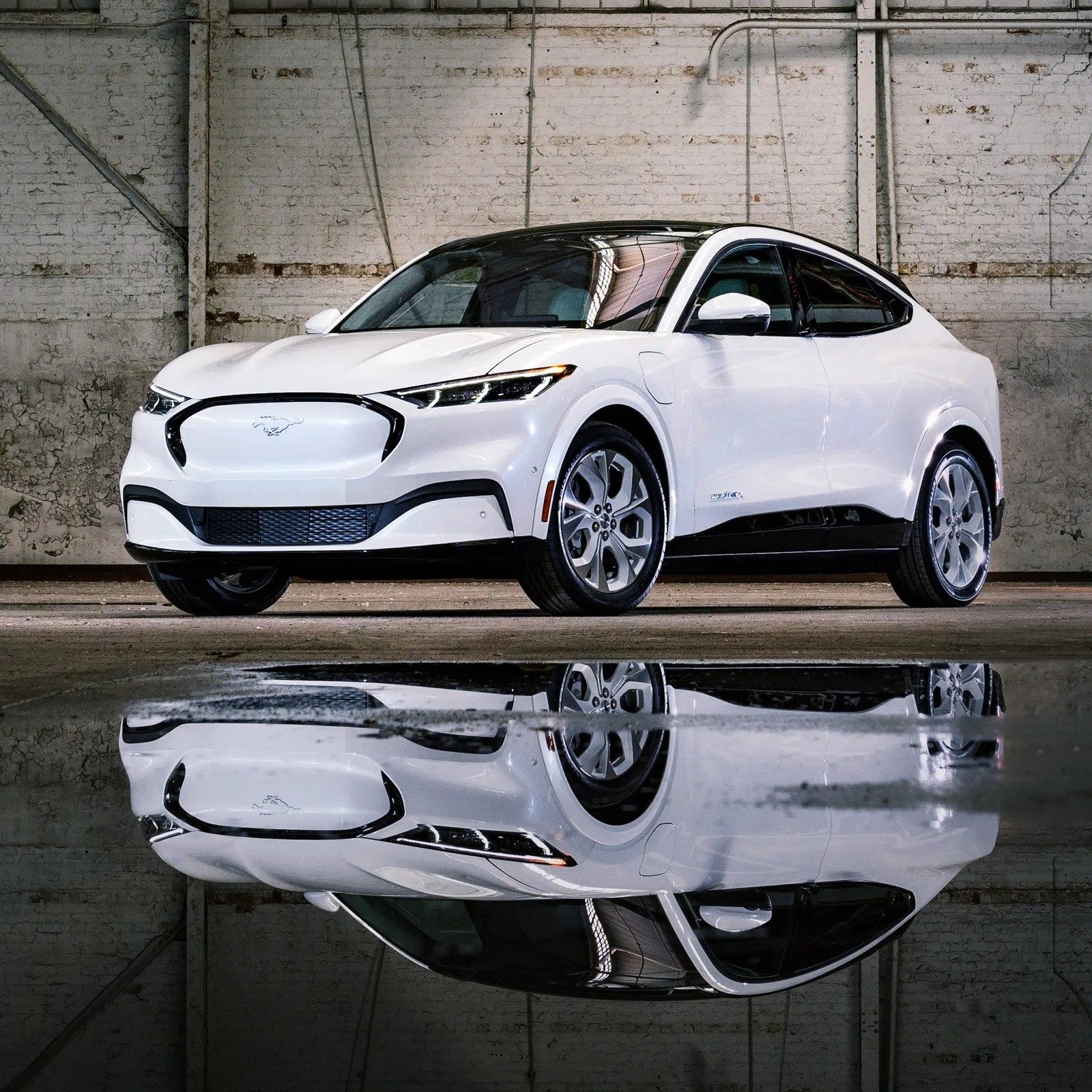 electric suv mustang