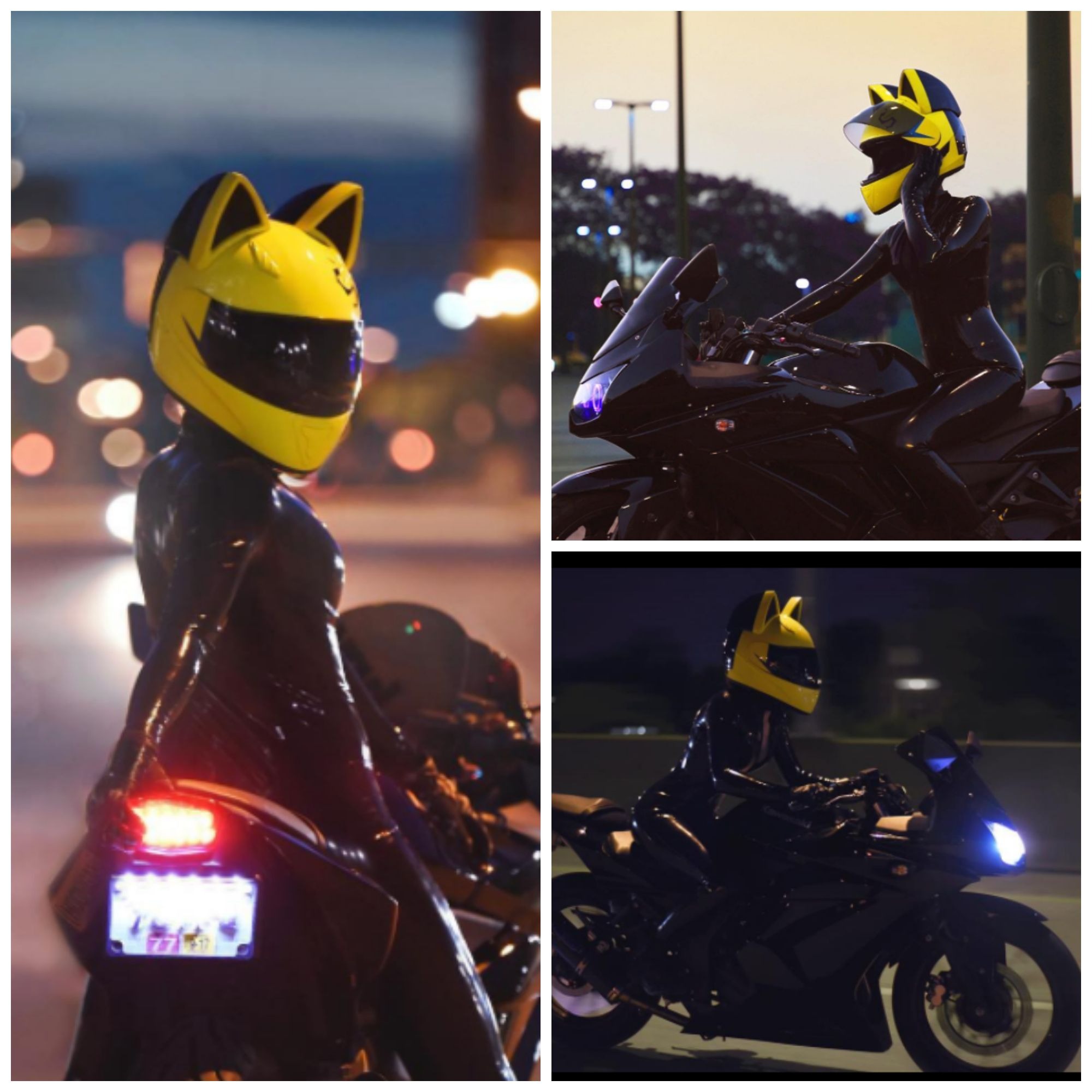 cat motorcycle helmet