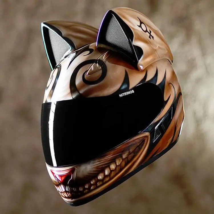cat motorcycle helmet